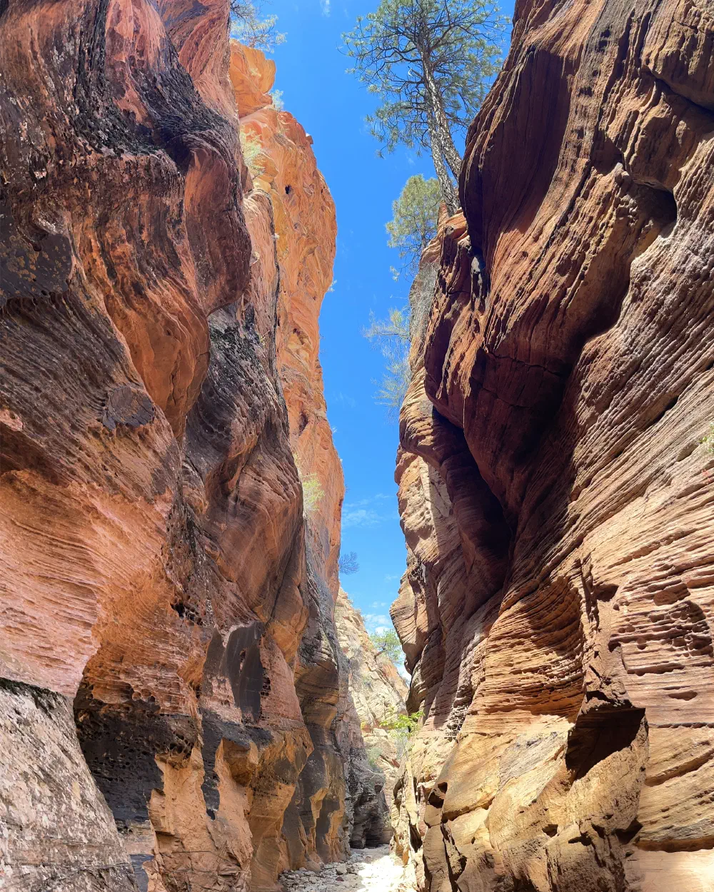 slot canyon zion utah